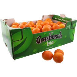 BIO CLEMENTINE GROSBUSCH 10KG